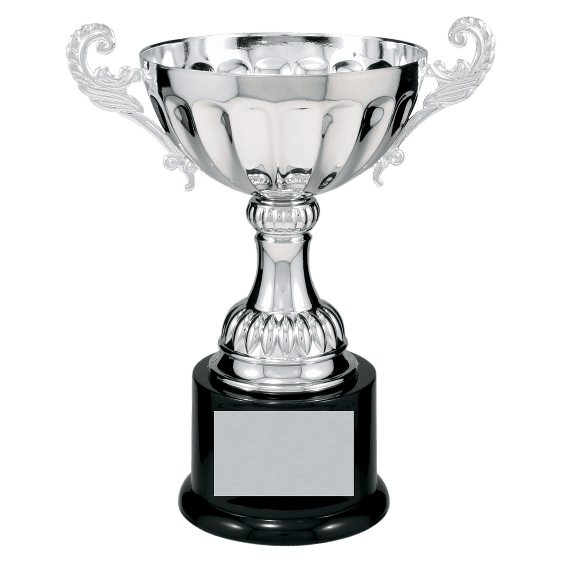 Silver Metal Cup-8 1/2"