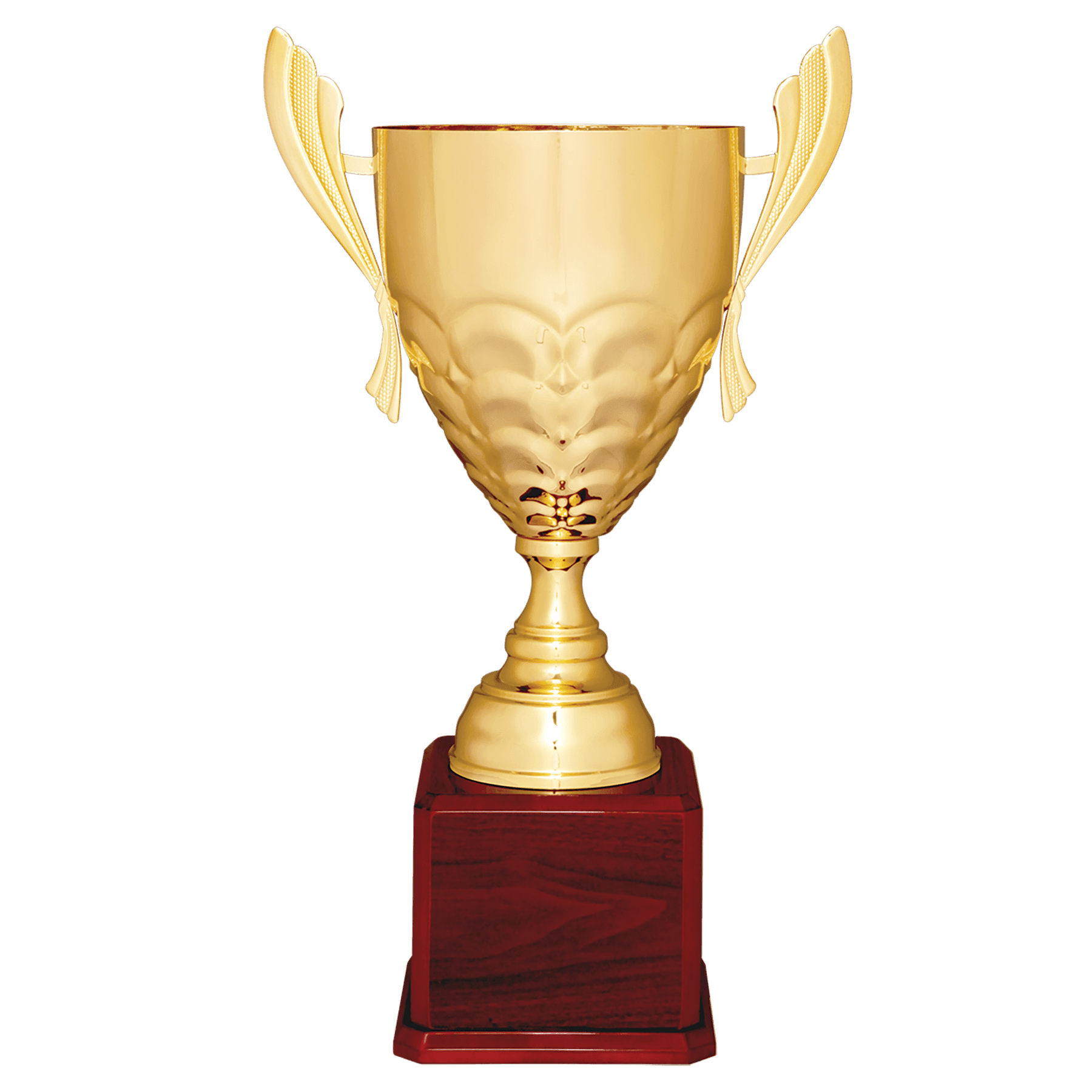 Gold Metal Cup-25 1/4"