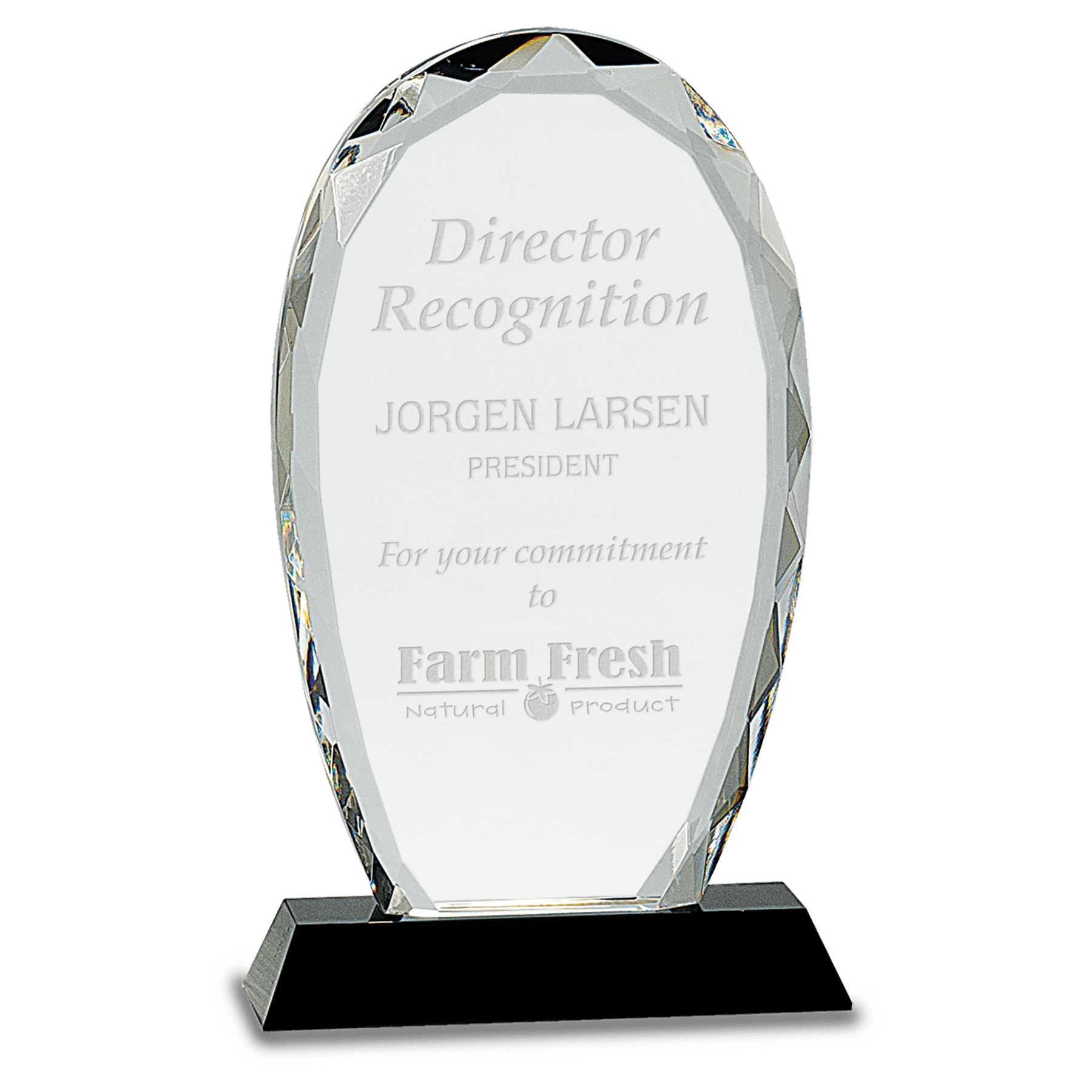 Large Oval Facet Crystal on Black Pedestal Base