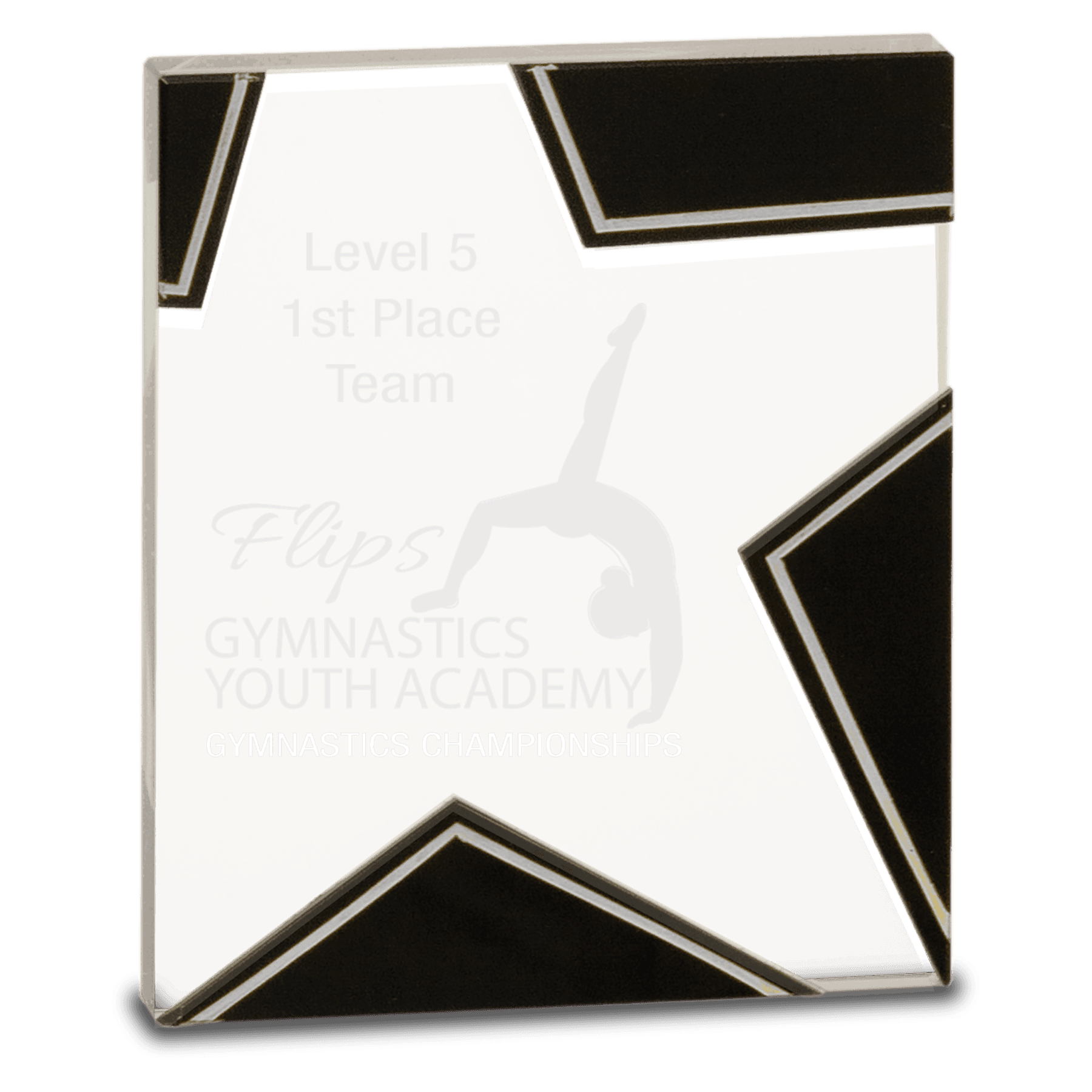 Large Silver and Black Star Glass